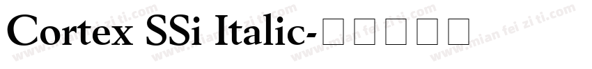 Cortex SSi Italic字体转换